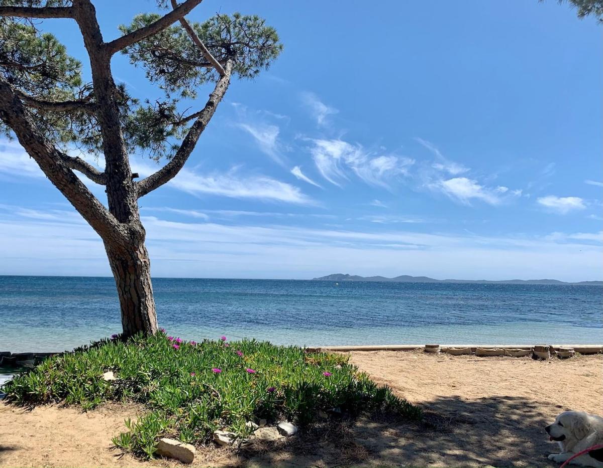 L Eden Croisette Nid Douillet En Bord De Apartment *